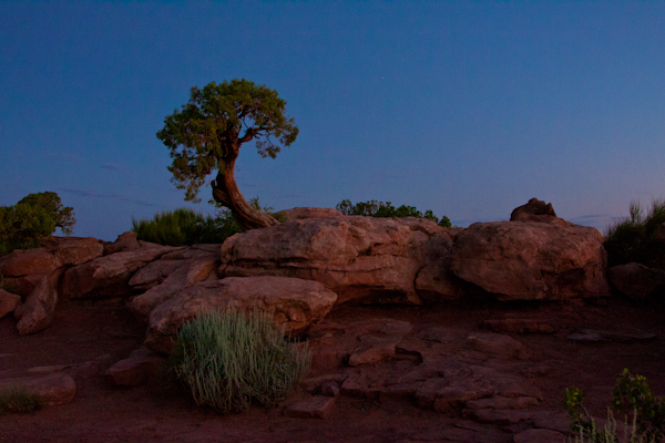 dead horse landscape 1