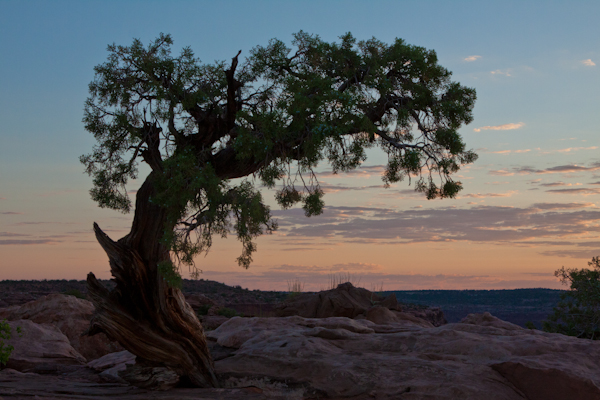 utah landscape 5